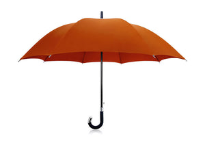 <tc>THE DAVEK ELITE - Notre parapluie canne classique</tc>